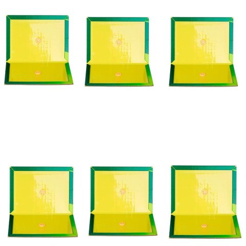 Ratoeira Adesiva Cola Pega Rato 20x15cm | 06 Un