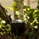 Ver imagem 2 de Bomba de Chimarrão com Anel Superior 19cm Bojo Pera Ferro Taumer Tereres