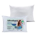 Ver imagem 1 de Kit 2 Travesseiros Altenburg 180 Fios Royal