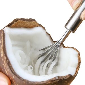 Ralador de Coco Manual Raspador Frutas Aço Inox Multiuso