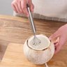 Ralador de Coco Manual Raspador Frutas Aço Inox Multiuso - 9