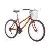 Bicicleta Houston Foxer Maori Freios V-Brake com Cesta Aro 26 21V Vermelha FX26M2R - 1