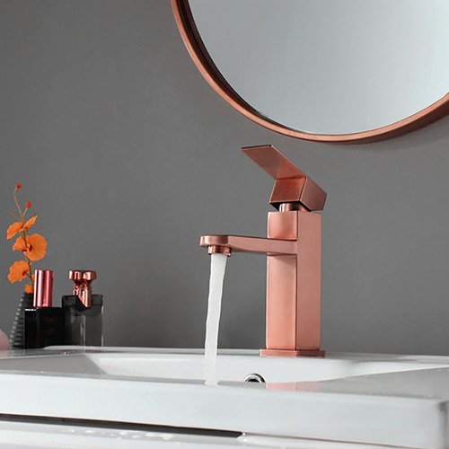 Torneira Banheiro Rose Luxo Monocomando Inox 304 Escovado - 5