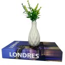 Ver imagem 1 de Kit decoração livro Londres + vaso branco de cerâmica