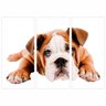 Quadro pet bulldog ingles filhotes cachorro 95X65 CM - 1