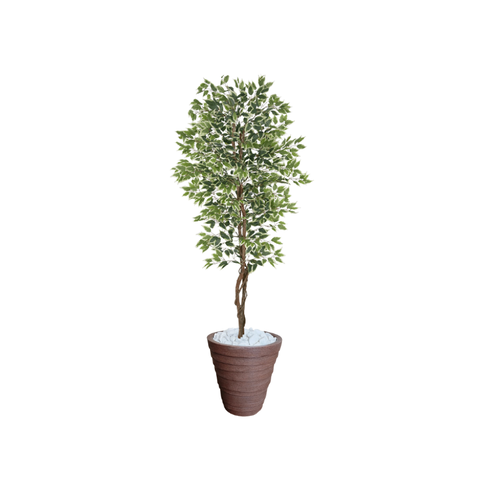 Planta Artificial Ficus Verde Creme 2,10m kit + Vaso Redondo D. Grafiato Marrom 40cm