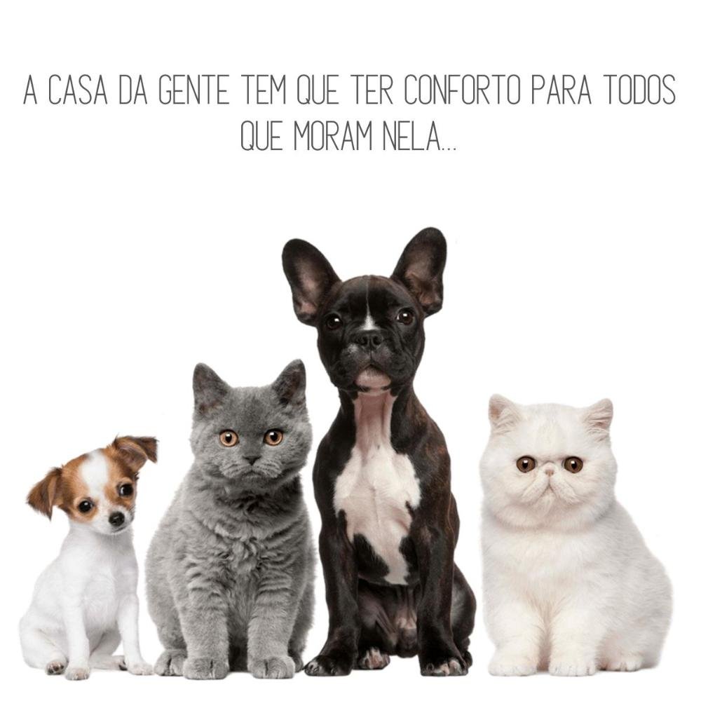 Caminha Pet Bege Casinha Mini Poltrona Para Cachorro Gato - 2