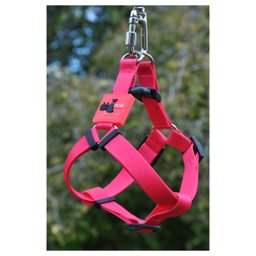 Coleira Cachorros com Guia Pink G Style - 4