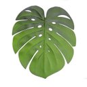 Ver imagem 1 de Lugar Americano de Eva Garden Leaf 45cm Lyor