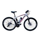 Ver imagem 1 de Bicicleta Elétrica Tecultra 10a/h Aro29 Motor Dianteiro 350w:branco/21