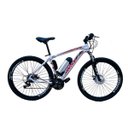 Ver imagem 1 de Bicicleta Elétrica Tecultra 10a/h Aro29 Motor Dianteiro 350w:branco/15