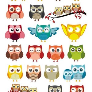 Papel De Parede Para Quarto Sala Infantil Corujinha Colorida