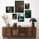 Ver imagem 1 de Composição 6 Quadros Fotografias Mãe Natureza:madeira Branca