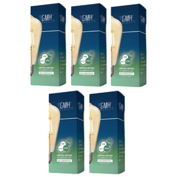 Kit 5 Lampadas Vintage Filamento LED ST64 4W 110V - 2 Kit 5 Lampadas Vintage Filamento LED ST64 4W 110V - 2