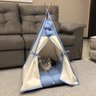 Cabana Cachorro Gato Camping Pet - Algodão Cru e Azul Poá - Tamanho Único - 8