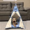 Cabana Cachorro Gato Camping Pet - Algodão Cru e Azul Poá - Tamanho Único - 7