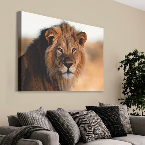Quadro Decorativo em Canvas Leão e Seus Olhos Vibrantes TaColado Moldura Flutuante 4,5cm Freijó 120 