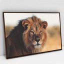 Ver imagem 5 de Quadro Decorativo em Canvas Leão e Seus Olhos Vibrantes TaColado Moldura Flutuante 4,5cm Freijó 120