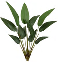 Ver imagem 1 de Planta Árvore Artificial Estrelícia X12 Verde 1,15cm