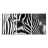 Quadro canvas 30x66 olhar de zebra textura pb - 1