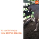 Ver imagem 4 de Kit 3 Bebedouros para Animais 25l Preto Gplas