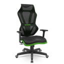 Ver imagem 1 de Cadeira Escritório Presidente Gamer Vizon Dz Plaxmetal Relaxsystem Preta/verde