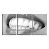 Quadro canvas 30x66 dentes brancos dentista pb - 1