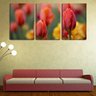 Quadro canvas 30x66 botão fechado de tulipa - 2