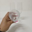 Ver imagem 3 de Kit 6TAÇA Stólzle Exquisit Champanhe 22x7x7cm 170ml Cristal Transparente
