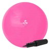 Bola Gym Ball Acte 65cm Rosa - T9-rs - 1