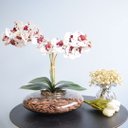 Ver imagem 1 de Arranjo com Duas Orquídeas Artificiais Tigre no Vaso de Vidro Transparente