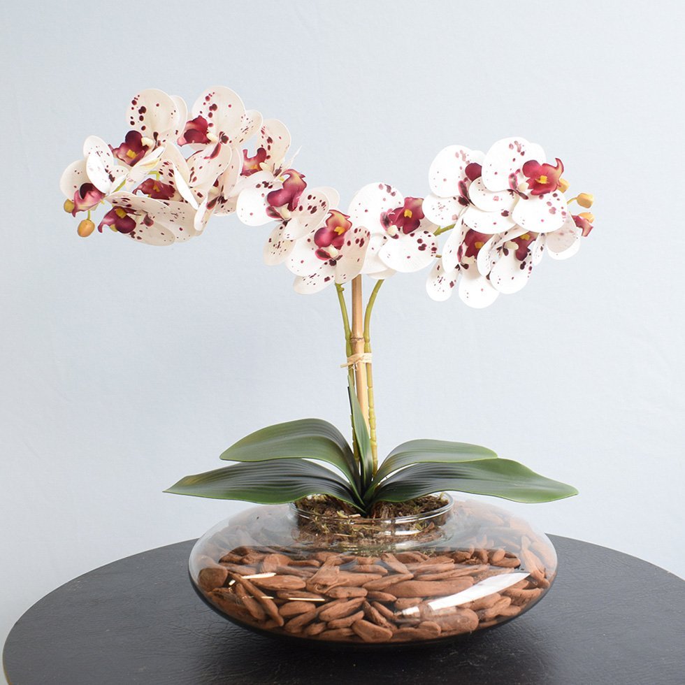 Arranjo com Duas Orquídeas Artificiais Tigre no Vaso de Vidro Transparente  | MadeiraMadeira
