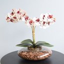 Ver imagem 3 de Arranjo com Duas Orquídeas Artificiais Tigre no Vaso de Vidro Transparente