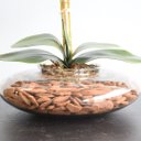 Ver imagem 4 de Arranjo com Duas Orquídeas Artificiais Tigre no Vaso de Vidro Transparente
