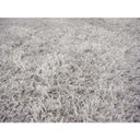 Ver imagem 2 de Tapete Felpudo Galax N Platina 1,50x2,00M - Kriar Tapetes