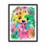 Quadro Cachorro Lulu da Pomerânia Moldura Preta 60x40cm - 1
