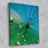 Tela Decorativa Dente-De-Leão E Gotas De Orvalho 30X40Cm - 3