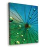 Tela Decorativa Dente-De-Leão E Gotas De Orvalho 30X40Cm - 1