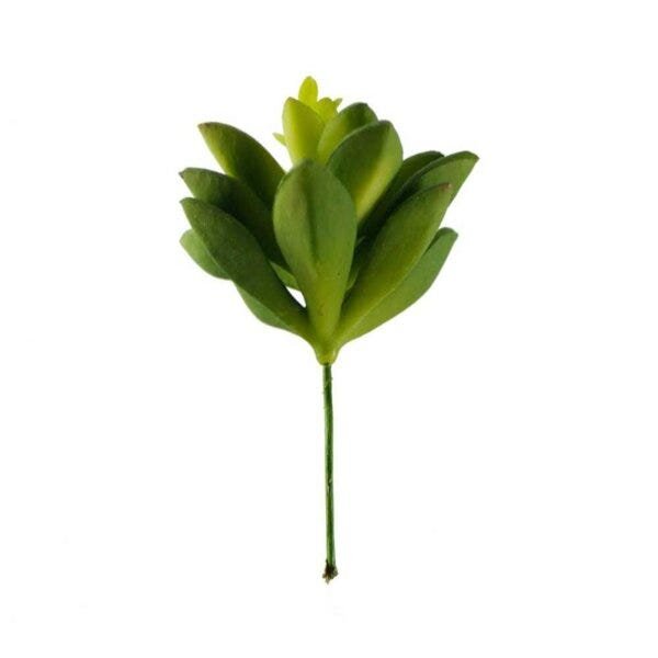 suculenta pashmina suculenta verde besha - 1