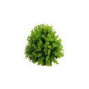 Ver imagem 1 de Buchinho Artificial Pashmina Verde Besha