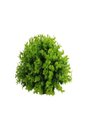 Ver imagem 1 de Buchinho Artificial Pashmina Verde Besha