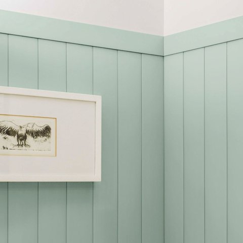 Revestimento de Parede Shiplap Ripado Tipo Lambri Vinilico 100x93cm:pistachio