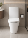 Ver imagem 4 de Vaso Sanitário Monobloco Cerâmica Confort Plus - Caixa Acoplada (Smart 250)