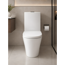 Ver imagem 4 de Vaso Sanitário Monobloco Cerâmica Confort Plus - Caixa Acoplada (Smart 250)