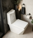 Ver imagem 1 de Vaso Sanitário Monobloco Imperial Diamond - Caixa Acoplada (Smart 300)