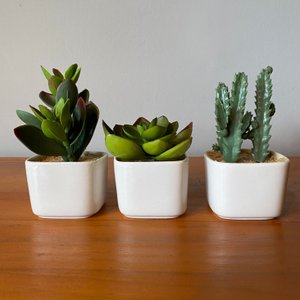 Kit com 3 Vasinhos Decorativos Suculenta Mini Planta Permanente