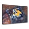Quadro Decorativo Gato Barbudo P426 - 1