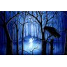 Quadro Decorativo Floresta Do Medo P213 - 3
