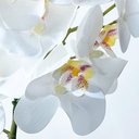 Ver imagem 3 de Arranjo 3 Orquídeas Artificiais em Terrário Pequeno Incolor