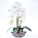 Ver imagem 1 de Arranjo 3 Orquídeas Artificiais em Terrário Pequeno Incolor